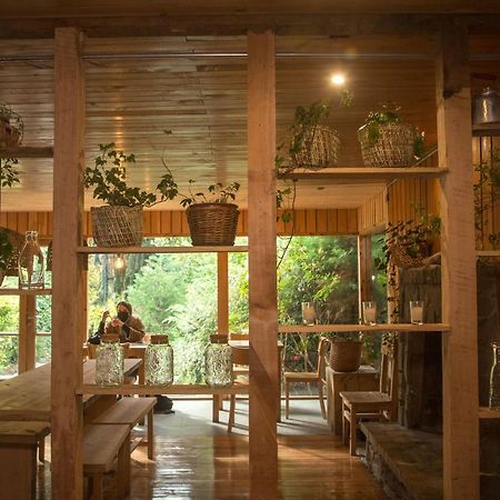 Raices Bed And Breakfast Coyhaique Dış mekan fotoğraf