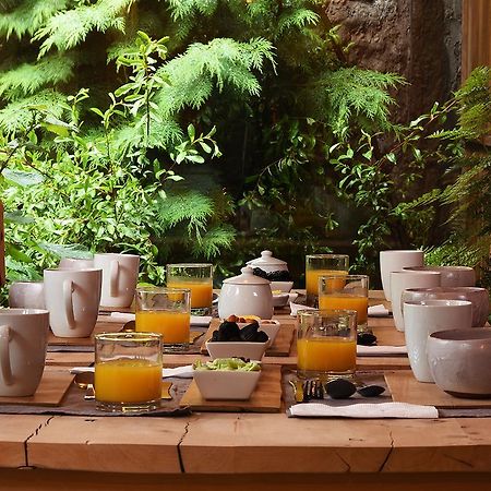 Raices Bed And Breakfast Coyhaique Dış mekan fotoğraf