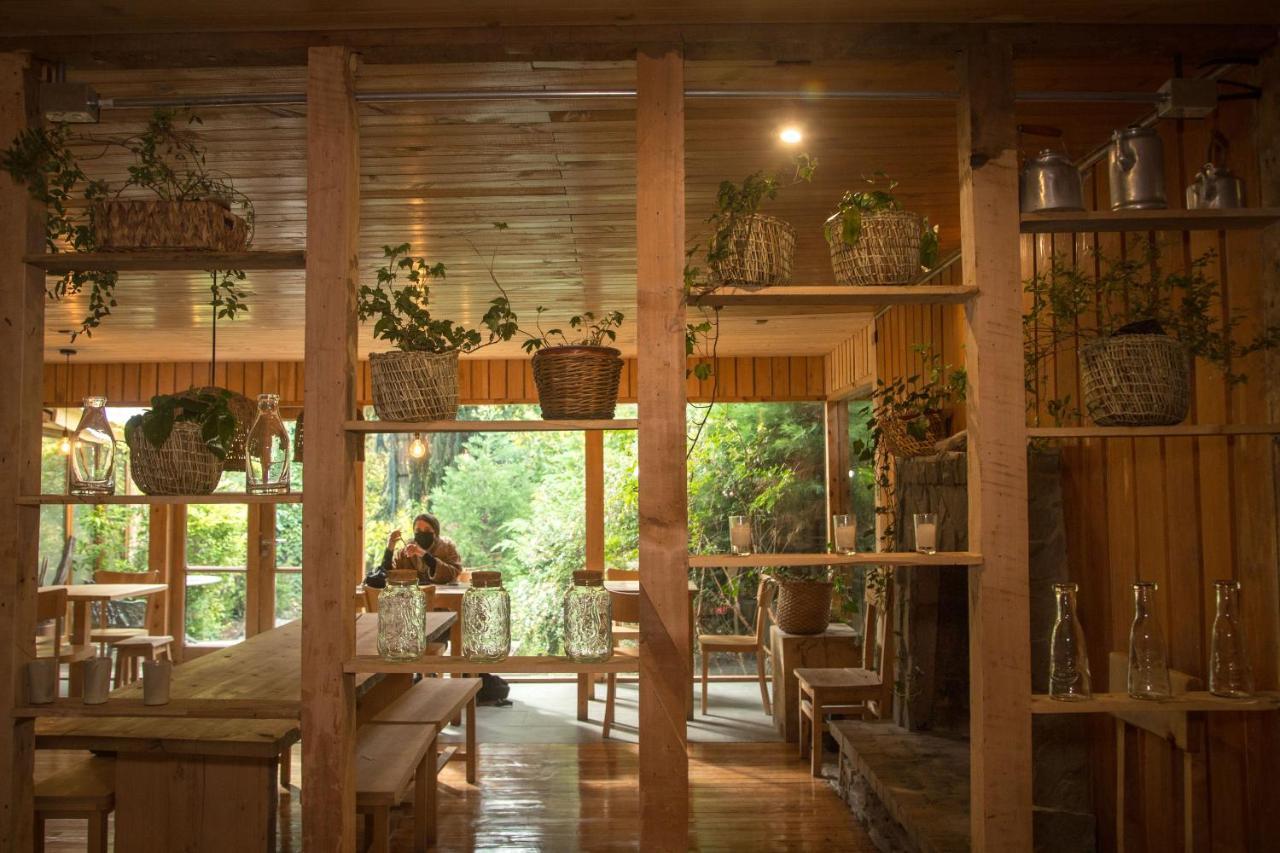 Raices Bed And Breakfast Coyhaique Dış mekan fotoğraf