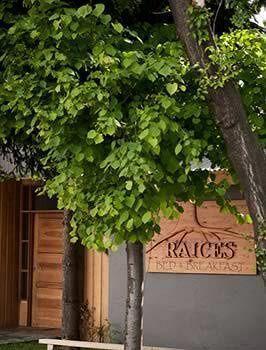 Raices Bed And Breakfast Coyhaique Dış mekan fotoğraf
