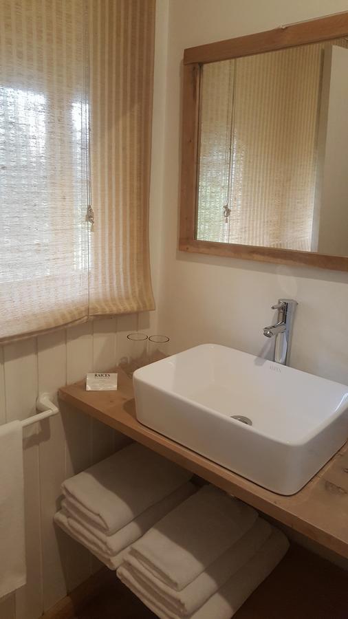 Raices Bed And Breakfast Coyhaique Dış mekan fotoğraf